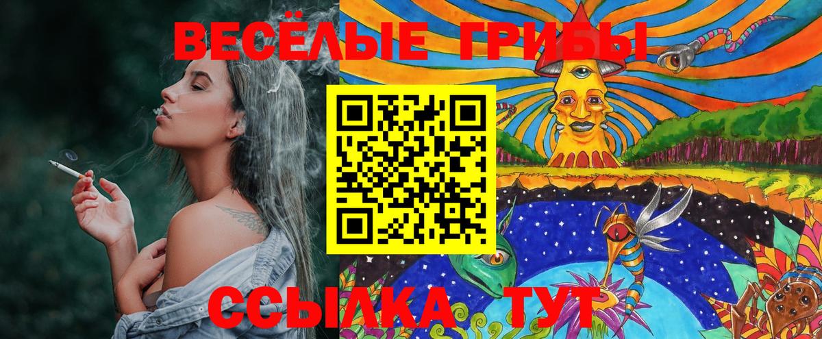 Приморско-Ахтарск  Галлюциногенные грибы ЛСД  Вход с VPN 