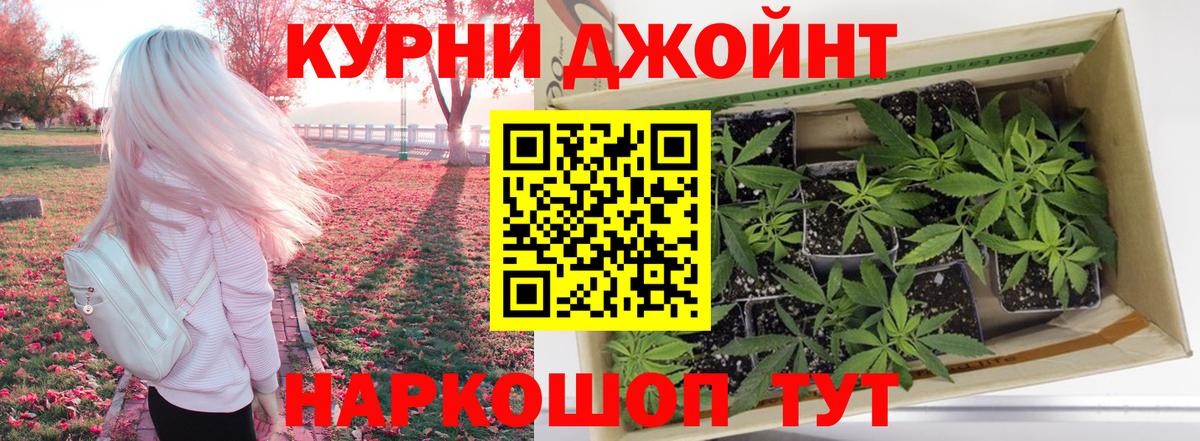 Шишки марихуана марихуана Приморско-Ахтарск